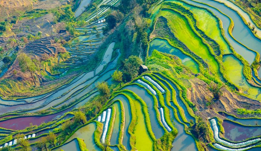 宝妈必备神器：从江县产品视频拍摄轻松育儿好帮手